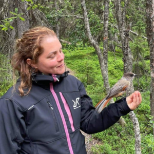 annelie 01 sq bird 2