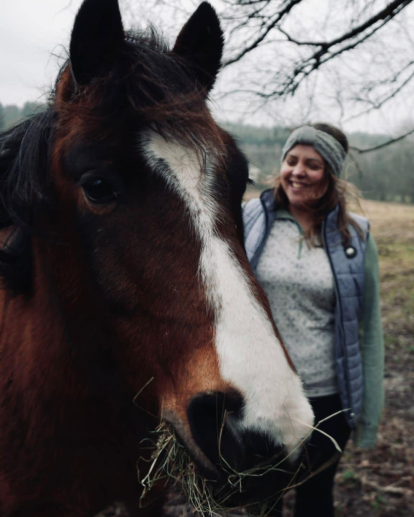annelie 04 4 5 horse